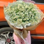 07042507 - bó hoa cúc tanna siêu to có túi đi kèm