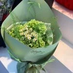 07042509 - bó tú cầu xanh bơ