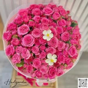 07042508 - Bó sophia siêu cưng ( hàng đặt trước 3h )