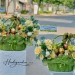 07042523 - giỏ trái cây tone xanh bơ mix hoa full 2 mặt