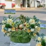 07042523 - giỏ trái cây tone xanh bơ mix hoa full 2 mặt