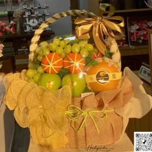 07042515 - giỏ trái cây