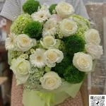 26042610 - bó hoa toen xanh bơ dịu mắt