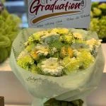 26042609 - bó hoa toen xanh bơ dịu mắt
