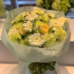 26042609 - bó hoa toen xanh bơ dịu mắt
