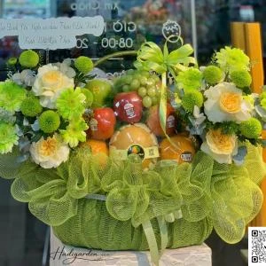 0109202623 - giỏ trái cây tone xanh bơ full 2 mặt