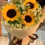 26042628 - bó hoa tốt nghiệp hướng dương