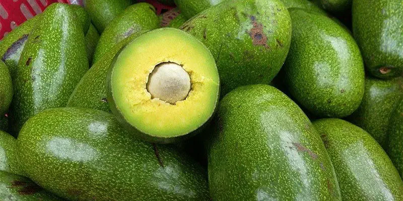 Bệnh Tiểu Đường Ăn Trái Cây Gì Tốt? Top 10 Loại Trái Cây Vàng Giúp Ổn Định Đường Huyết