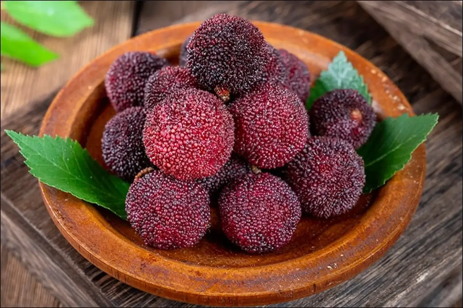 qua-duong-mai-thanh-mai1