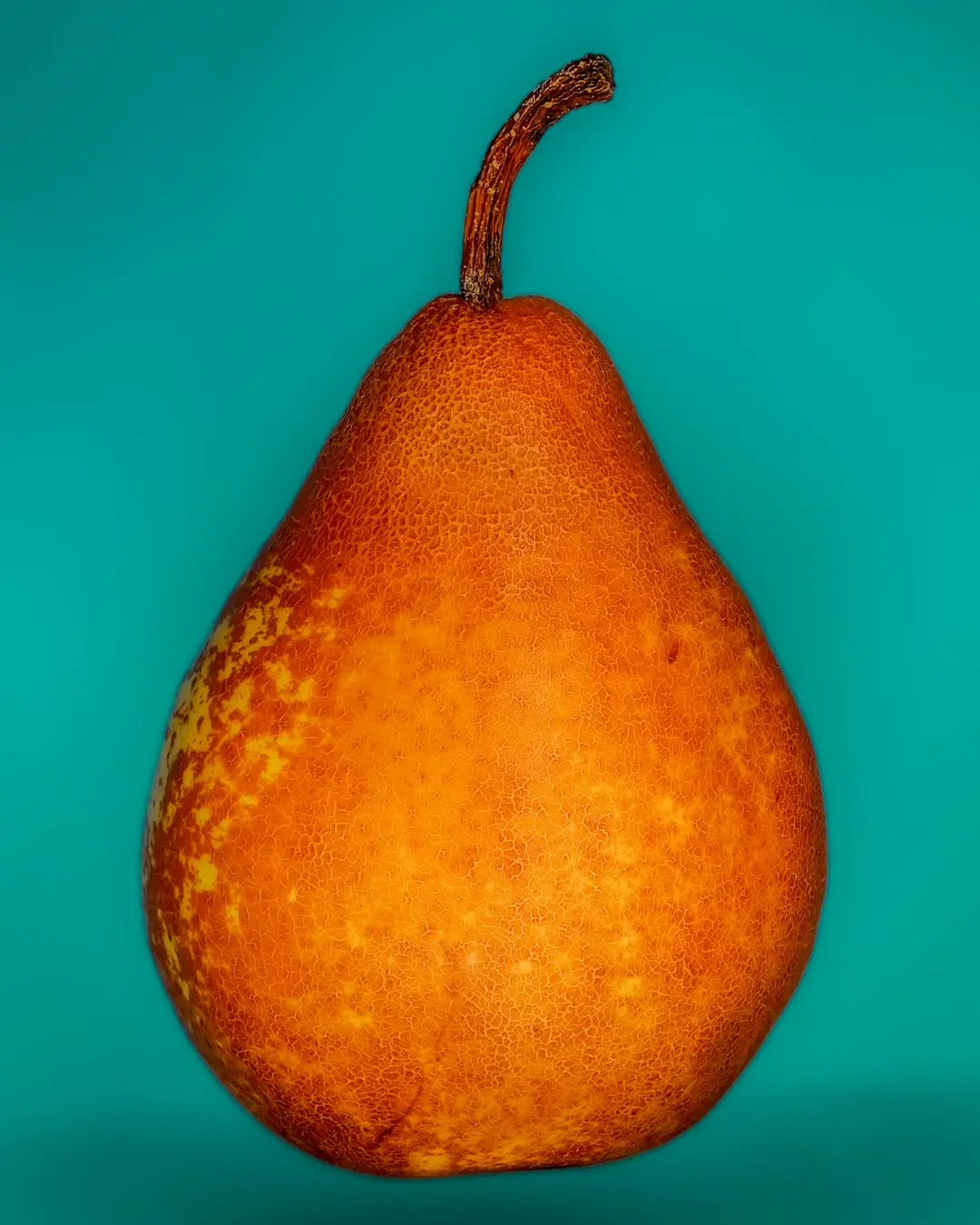 Hạt African mango và tác dụng giảm cân