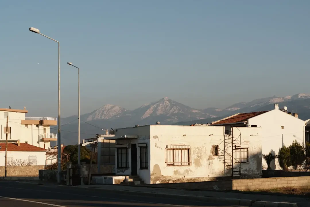 Araza – Nguồn Gốc, Dinh Dưỡng, Lợi Ích & Ứng Dụng