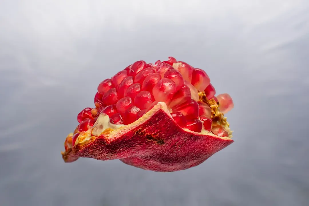 Món ăn từ Aronia