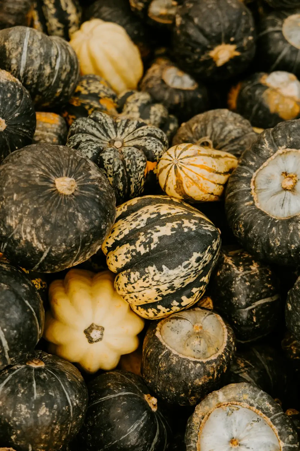 Các món ăn sáng tạo từ bí ngô