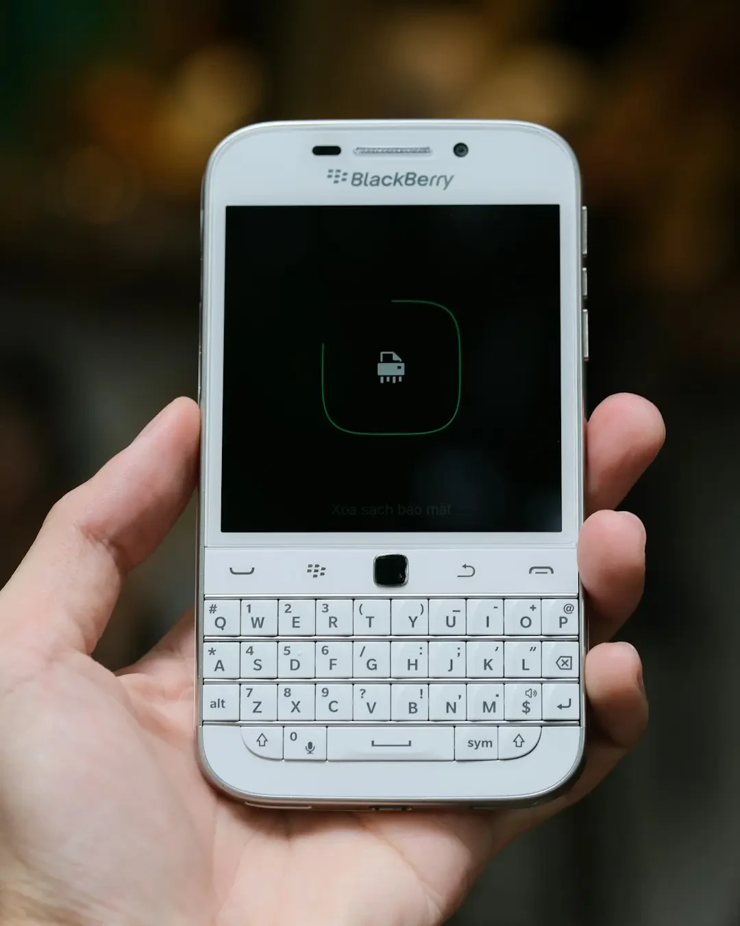 Bộ sưu tập hình ảnh Blackberry