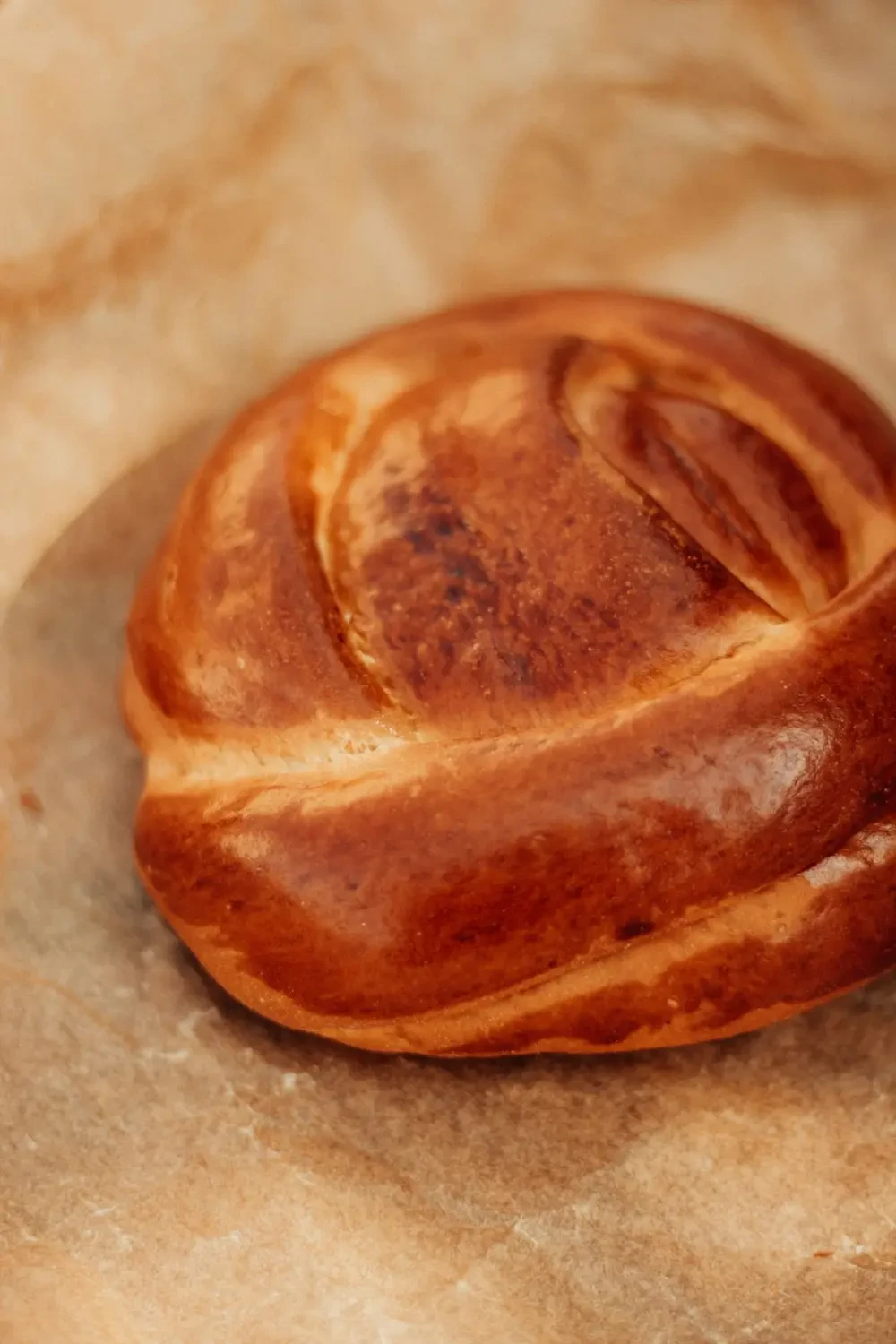 Chọn Breadnut Cách chọn Breadnut tươi ngon