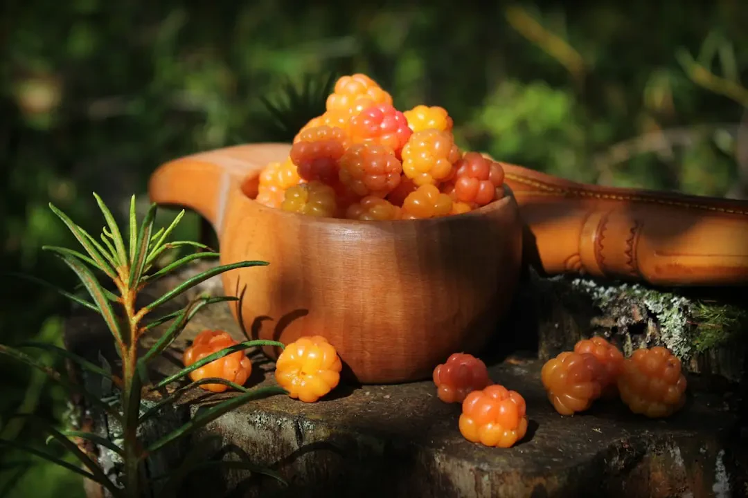 Nước ép Cloudberry