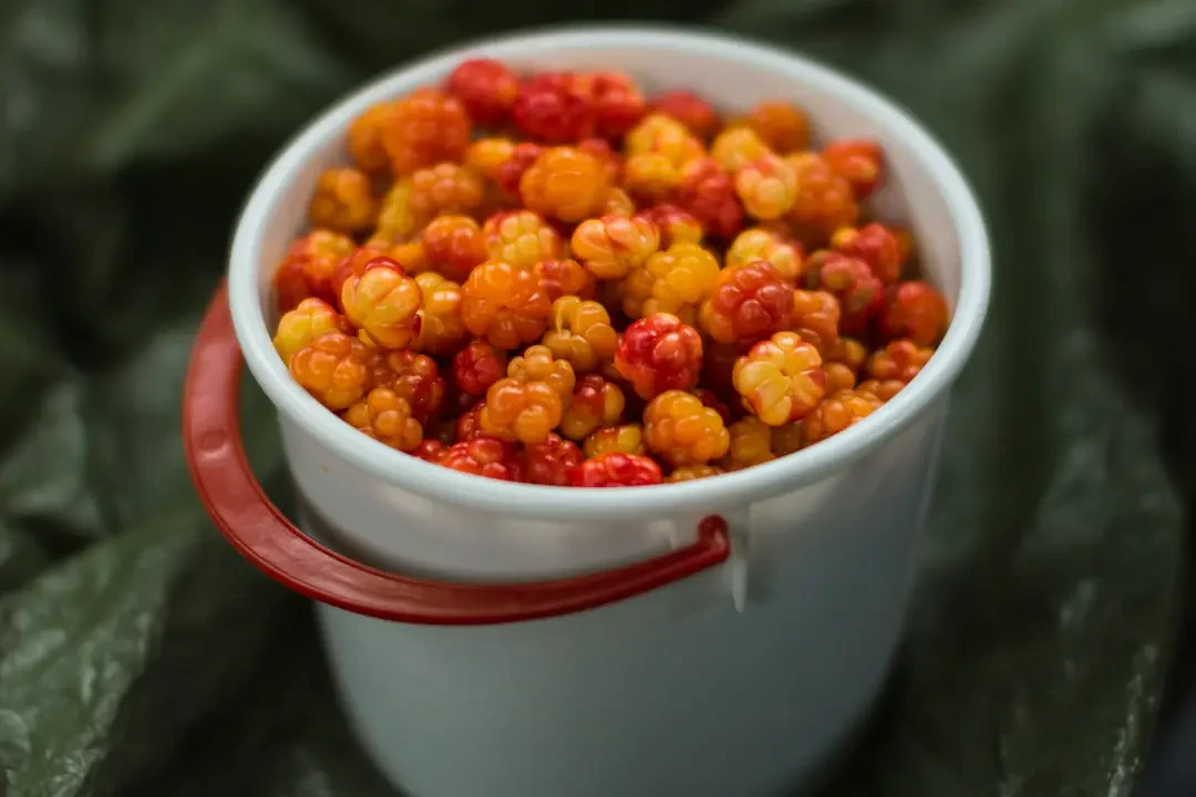 Cloudberry đông lạnh