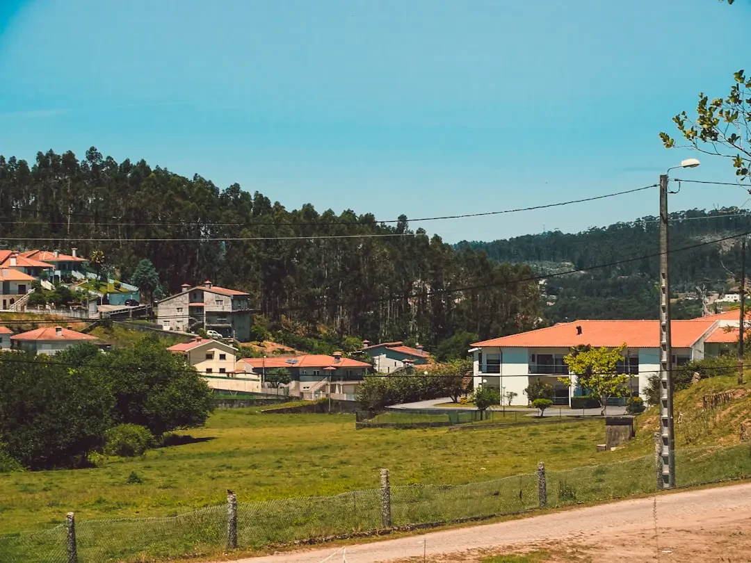 Cupuacu pulp for juice