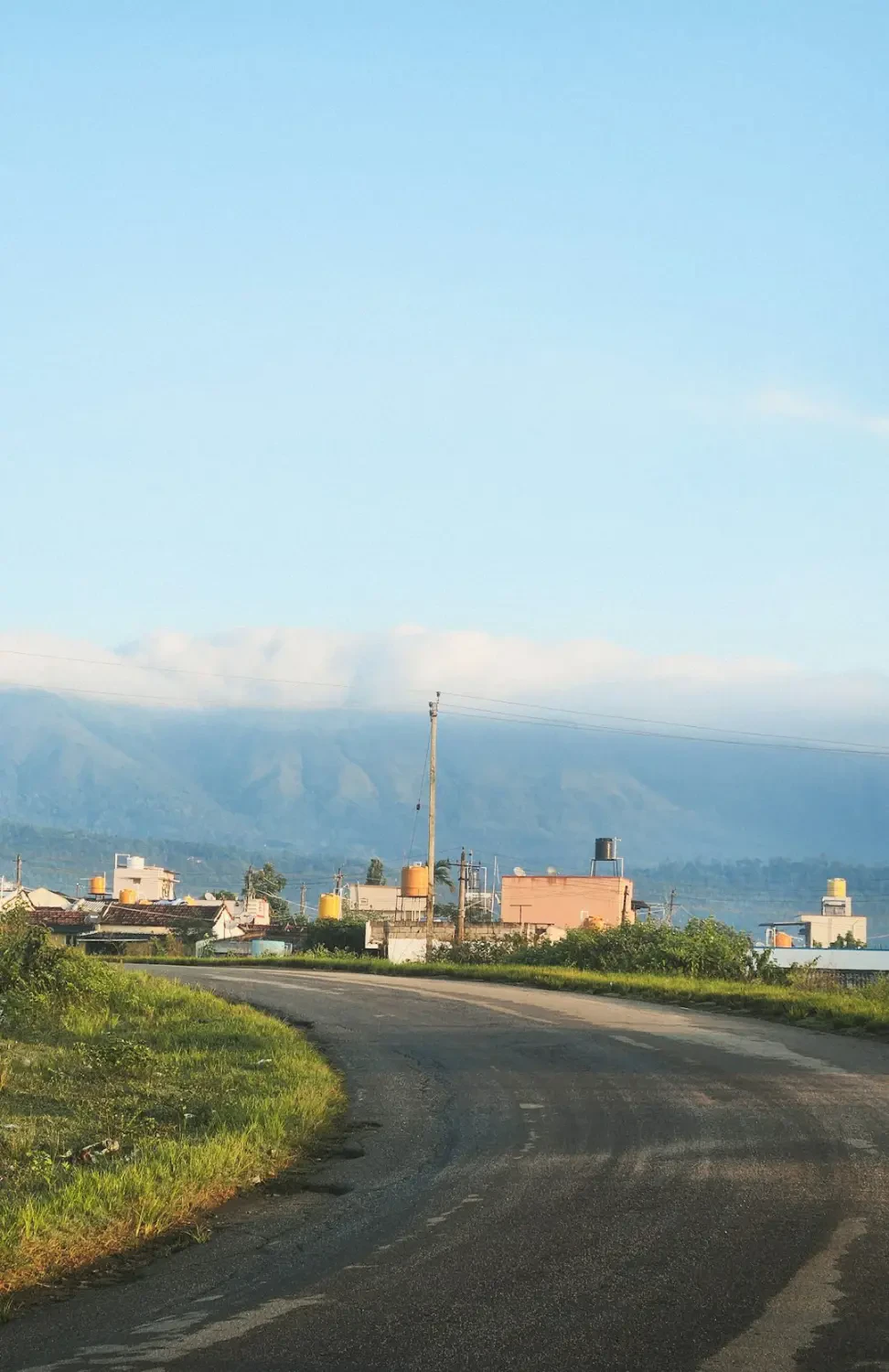 Cupuacu fruit with healthy food