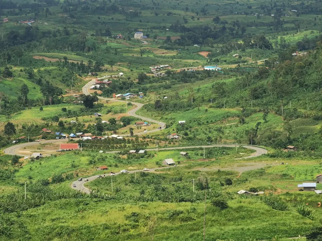 Whole Cupuacu fruits
