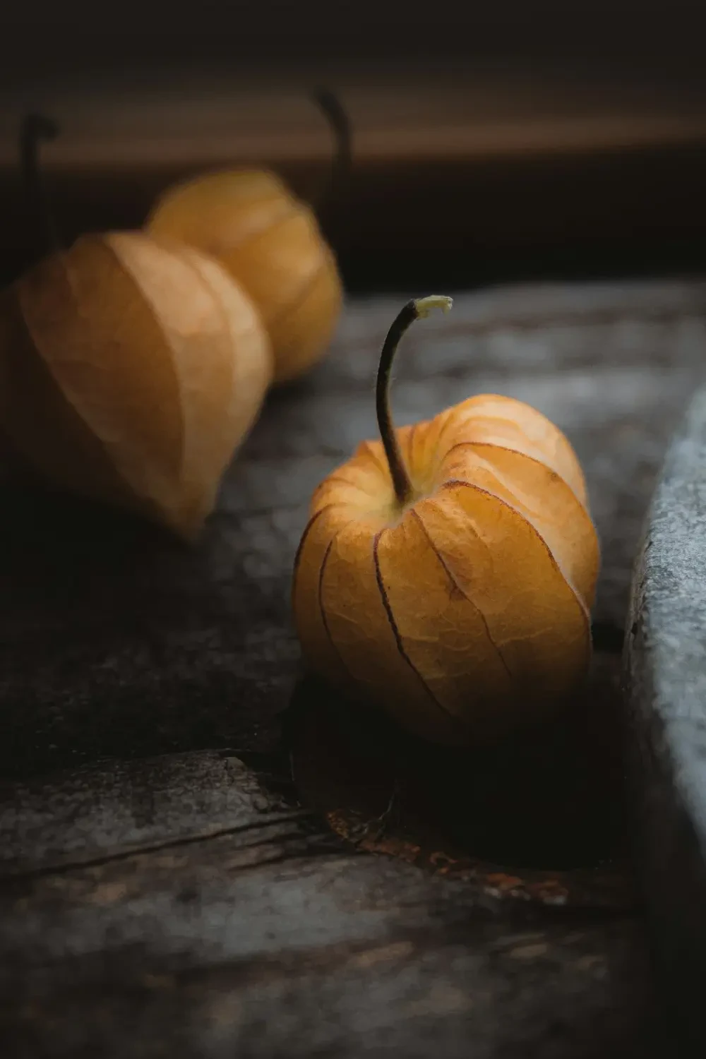 Dâu vàng tươi trên cành cây, sẵn sàng thu hoạch