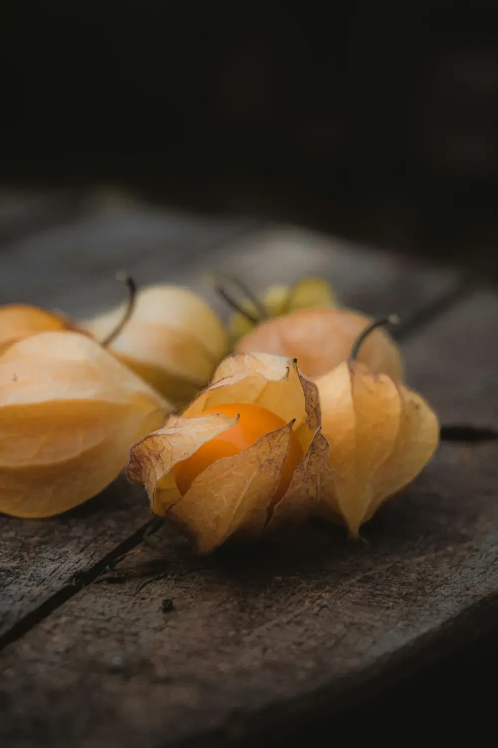 Nhiều quả dâu vàng trên đĩa, sẵn sàng để ăn