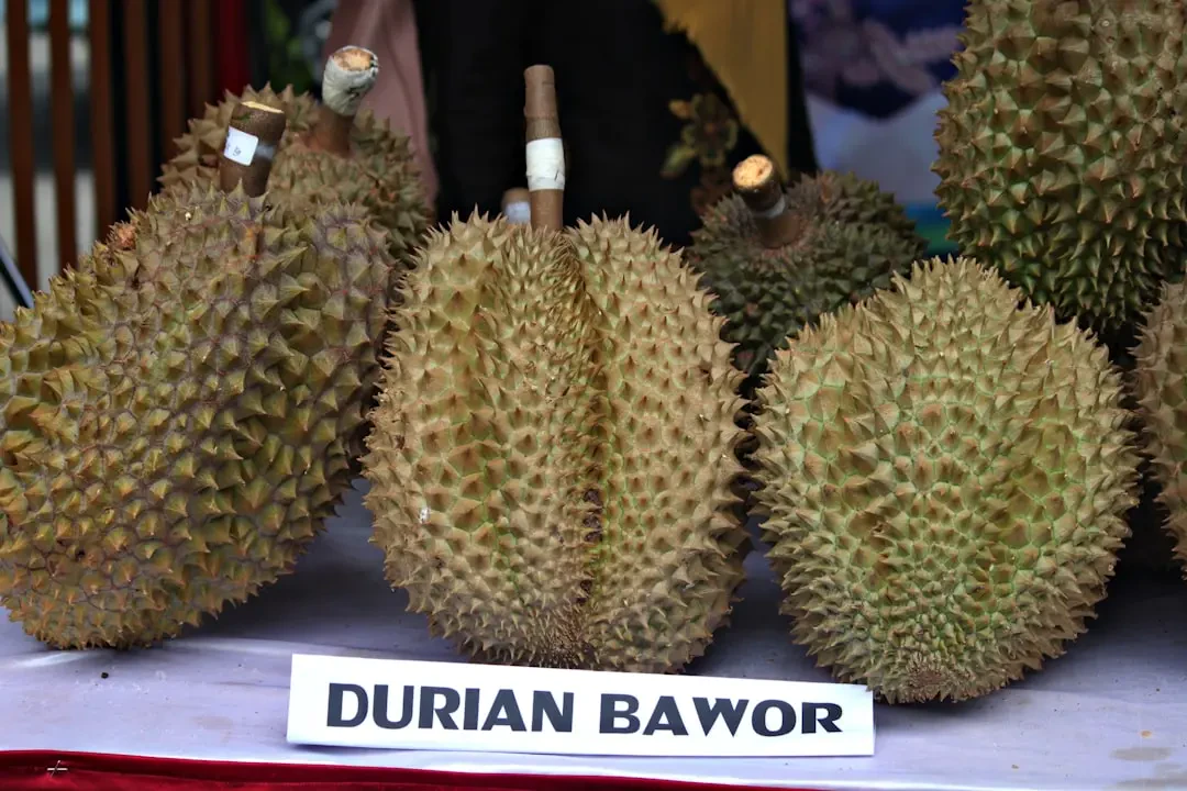 Durian (varieties)
