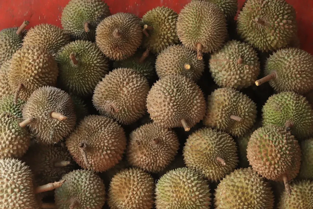Lợi ích sức khỏe từ sầu riêng Durian