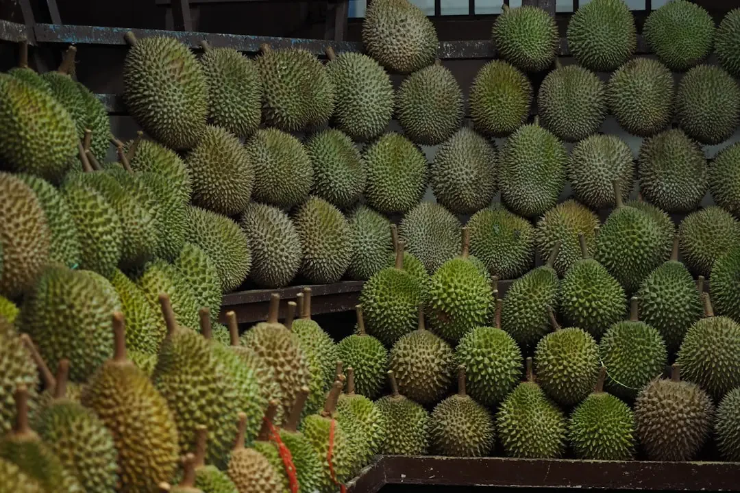 Mẹo chọn và bảo quản sầu riêng Durian