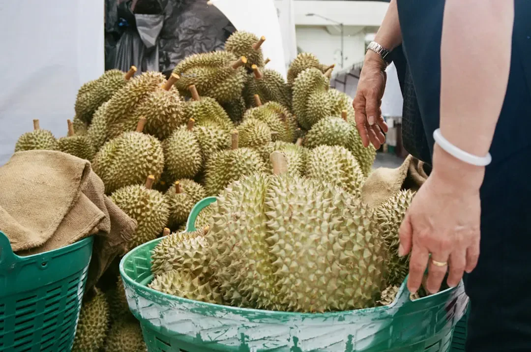 Giá sầu riêng Durian và địa chỉ mua uy tín