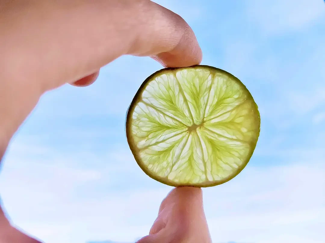 Các loại Finger lime màu sắc khác nhau