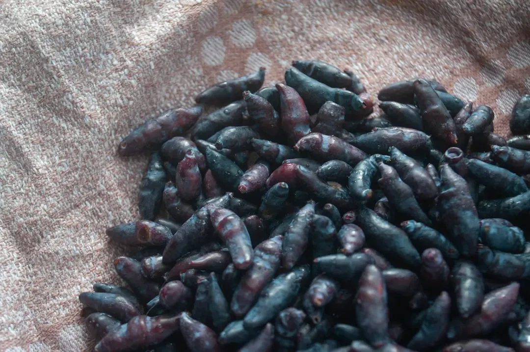 Haskap – Nguồn Gốc, Dinh Dưỡng, Lợi Ích & Ứng Dụng