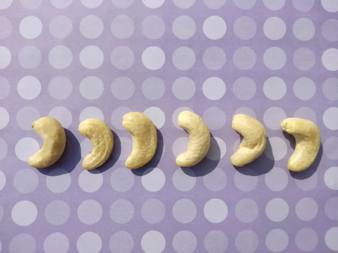 Hạt điều khô và quả điều tươi