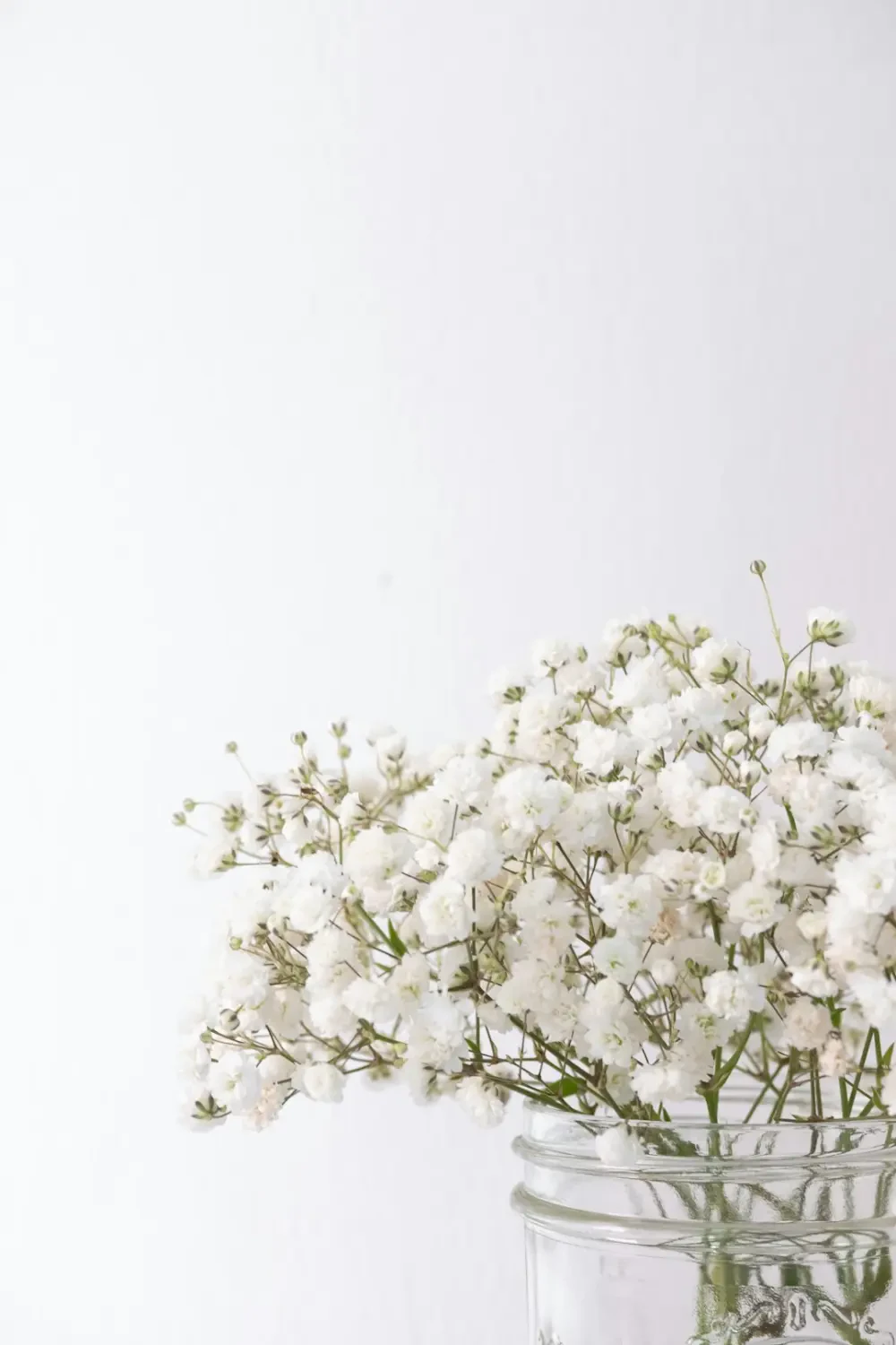 Ý Nghĩa Hoa Baby's Breath – Nguồn Gốc, Câu Chuyện & Cách Ứng Dụng