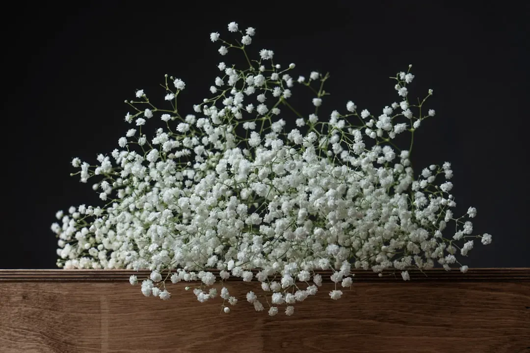 Bó hoa Baby's Breath nhiều màu sắc tượng trưng ý nghĩa