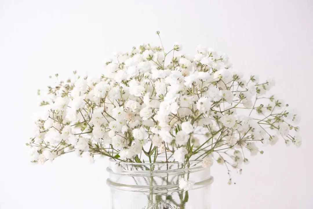 Hoa Baby's Breath làm phụ kiện trang trí trong tiệc cưới