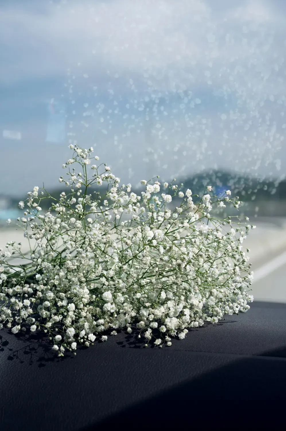Bó hoa Baby's Breath đẹp làm quà tặng