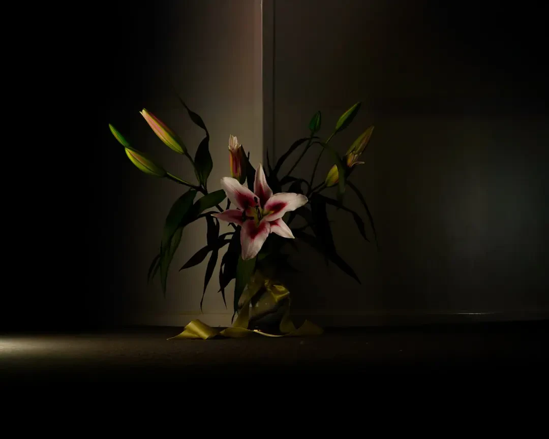 Hoa Bách Hợp Tím làm quà tặng ý nghĩa