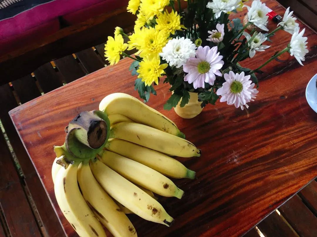 Ý Nghĩa Hoa Chuối Cảnh – Nguồn Gốc, Câu Chuyện & Cách Ứng Dụng Tinh Tế