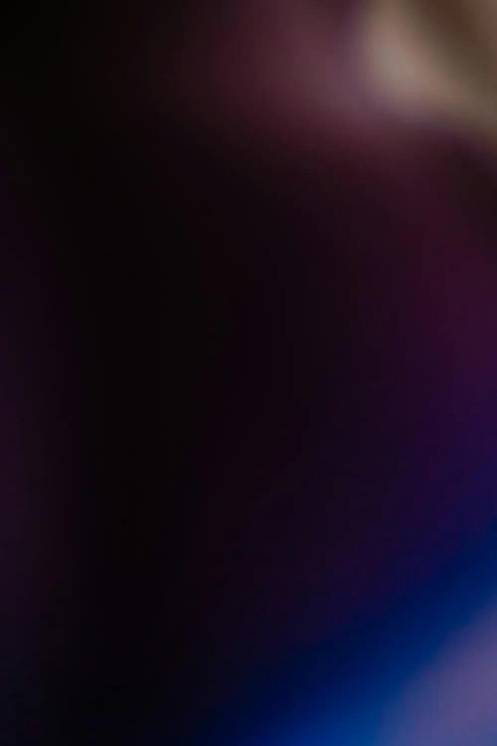 Những bông Cúc Bách Nhật nở rộ trong một bình hoa