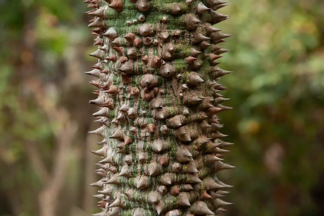 Hoa Lụa mang vẻ đẹp tinh xảo, bền bỉ
