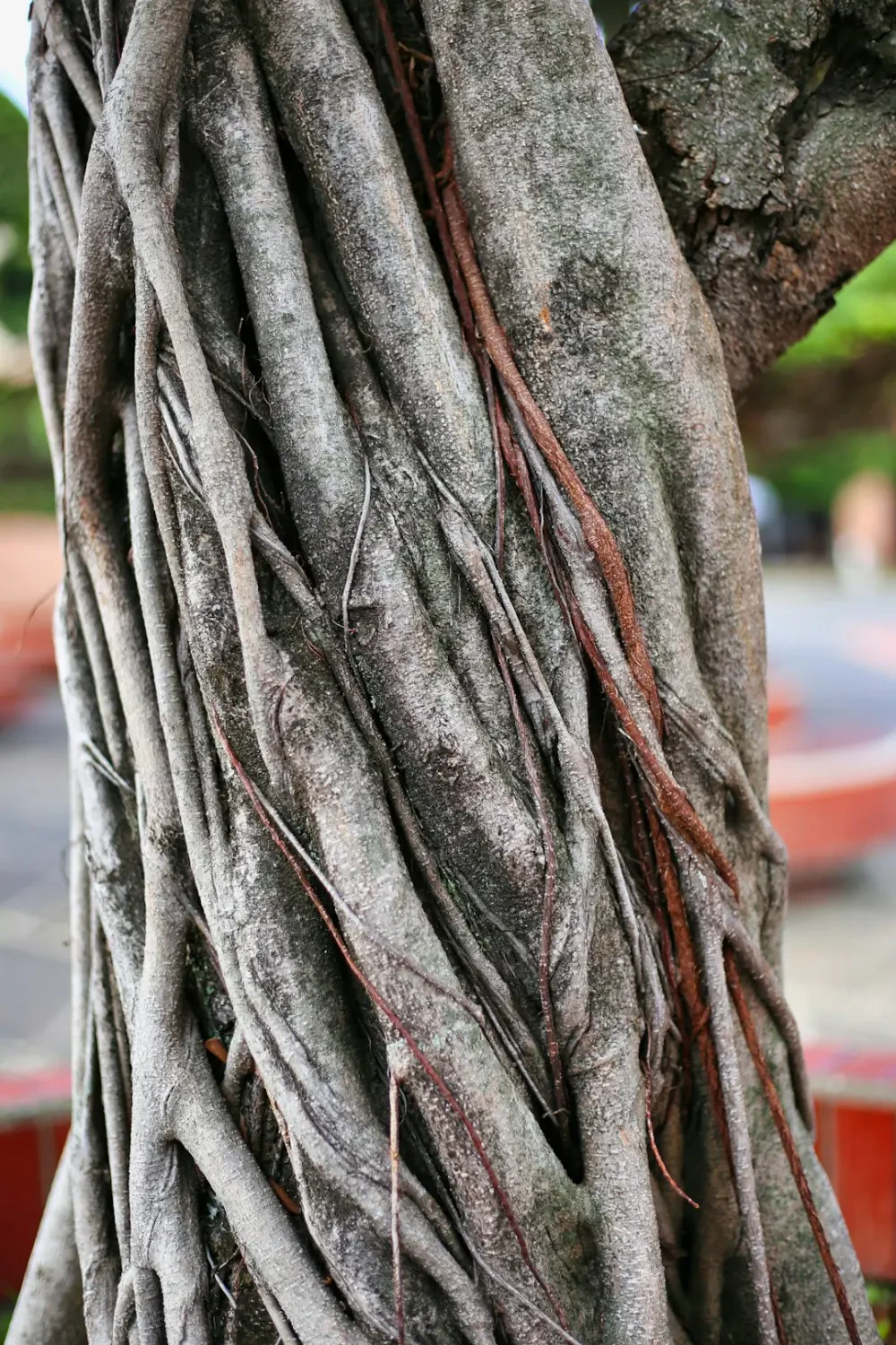 Hoa Lụa trang trí đám cưới và sự kiện