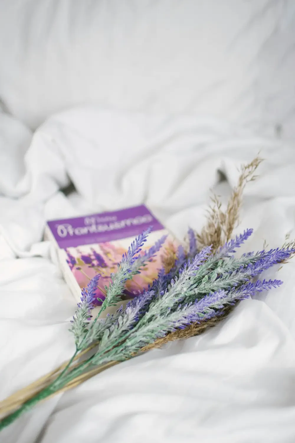 Ưu nhược điểm khi tặng hoa Oải Hương Trắng