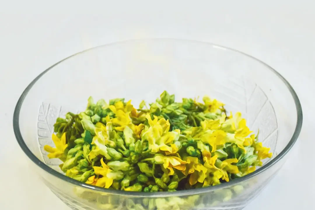 Giới thiệu hoa Thiên Lý
