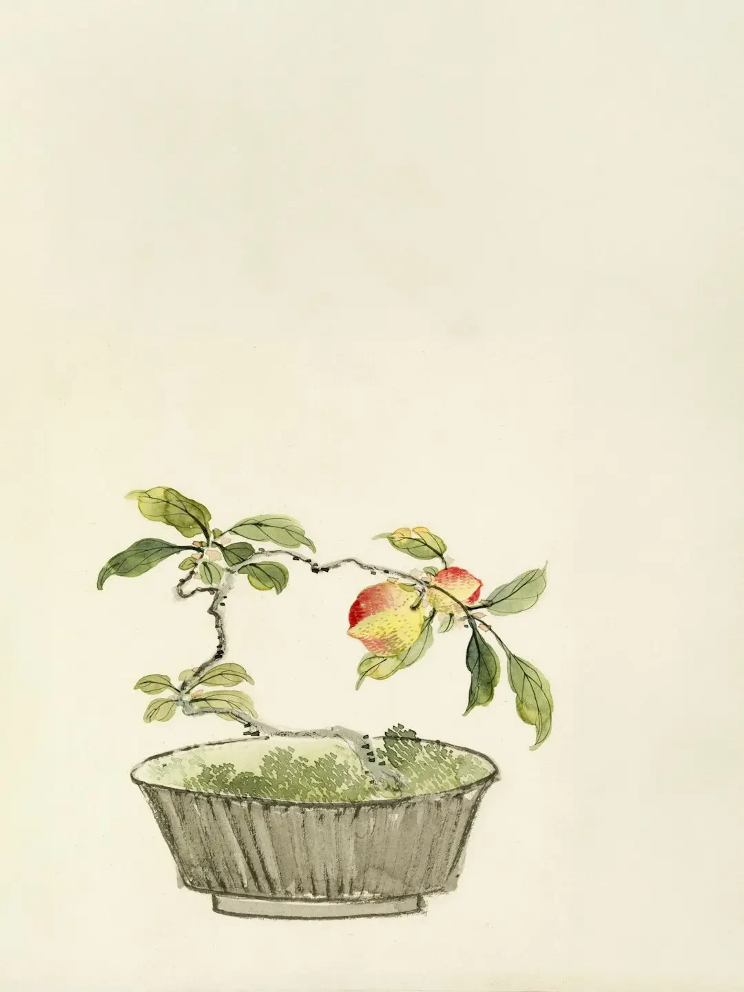 Ứng dụng sợi bông Kapok trong sản xuất