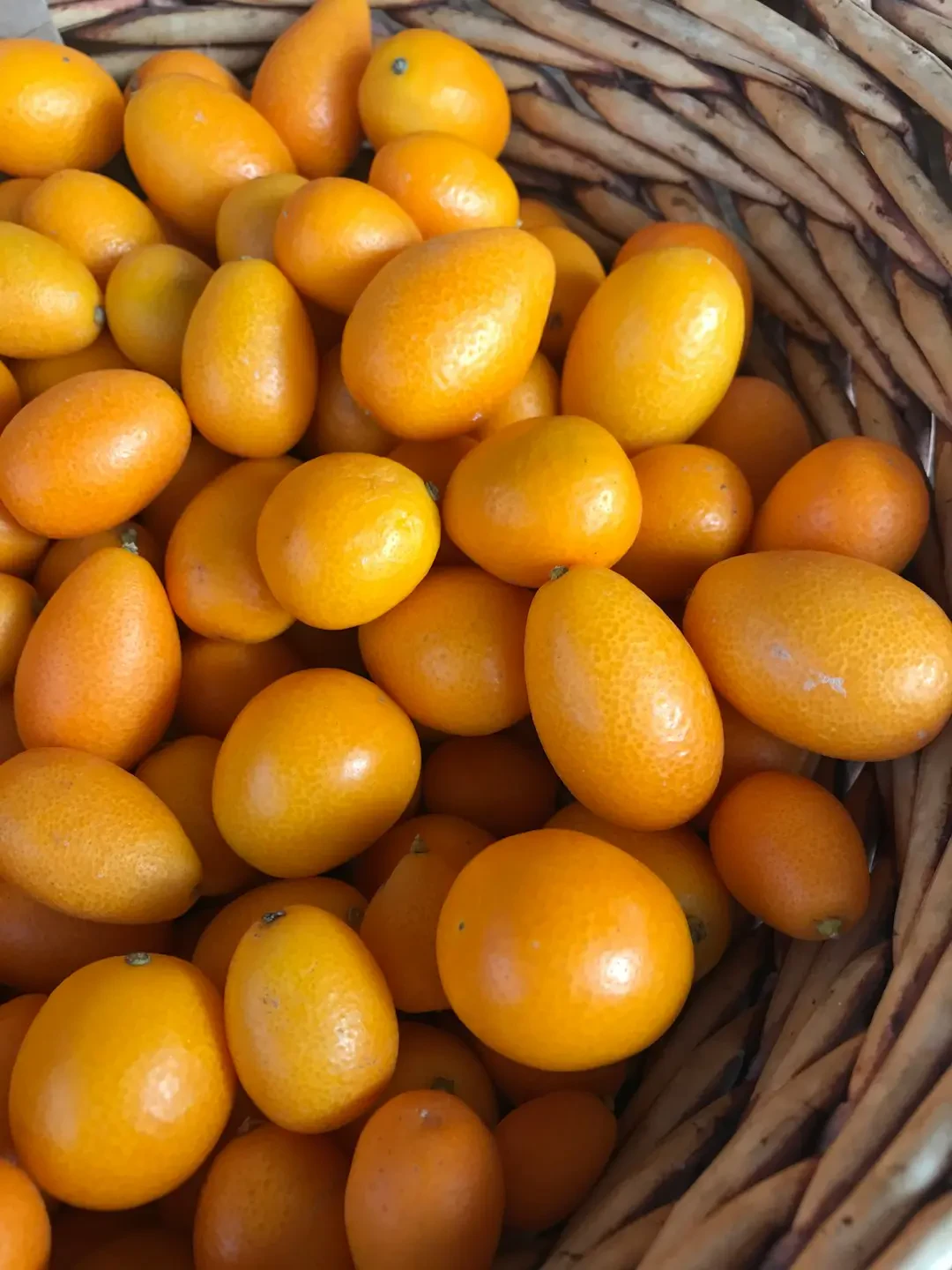 Các trái Kumquat tươi trên cành lá xanh