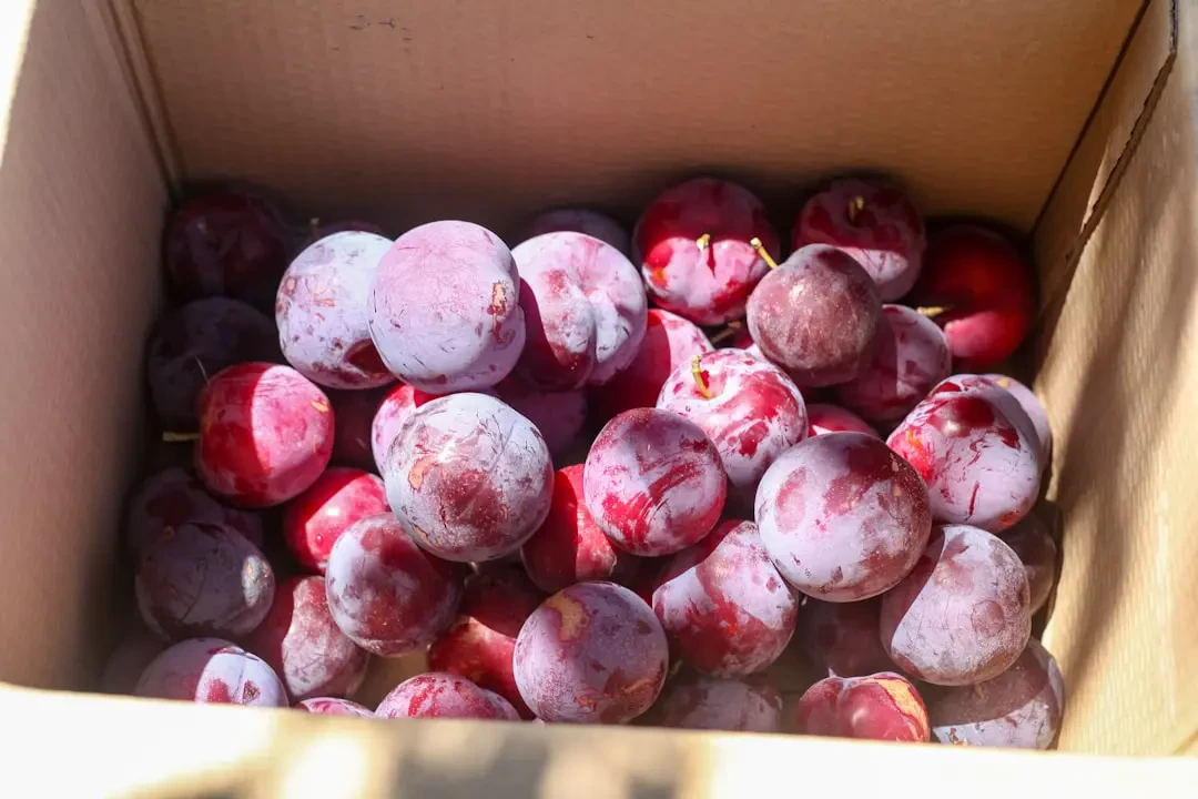 Mận khô đã tách hạt