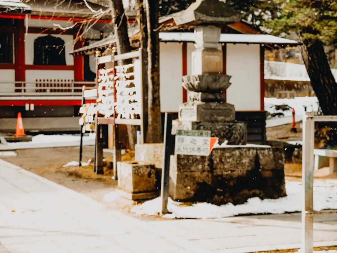 Mangaba đã bóc vỏ và cắt miếng