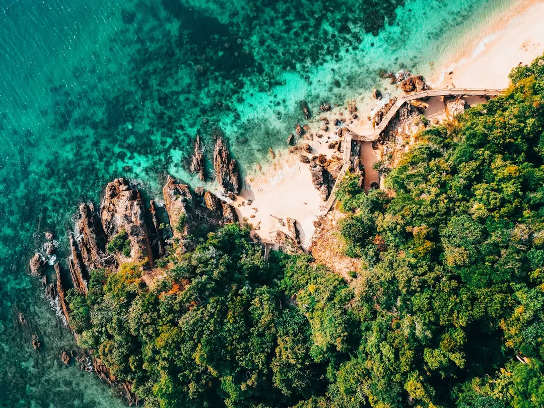 Marang – Nguồn Gốc, Dinh Dưỡng, Lợi Ích & Ứng Dụng