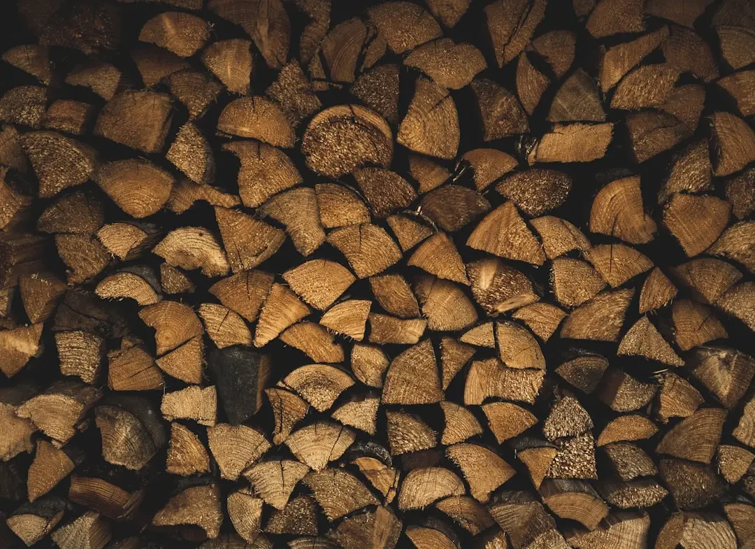 Cách chọn và bảo quản Masak hout